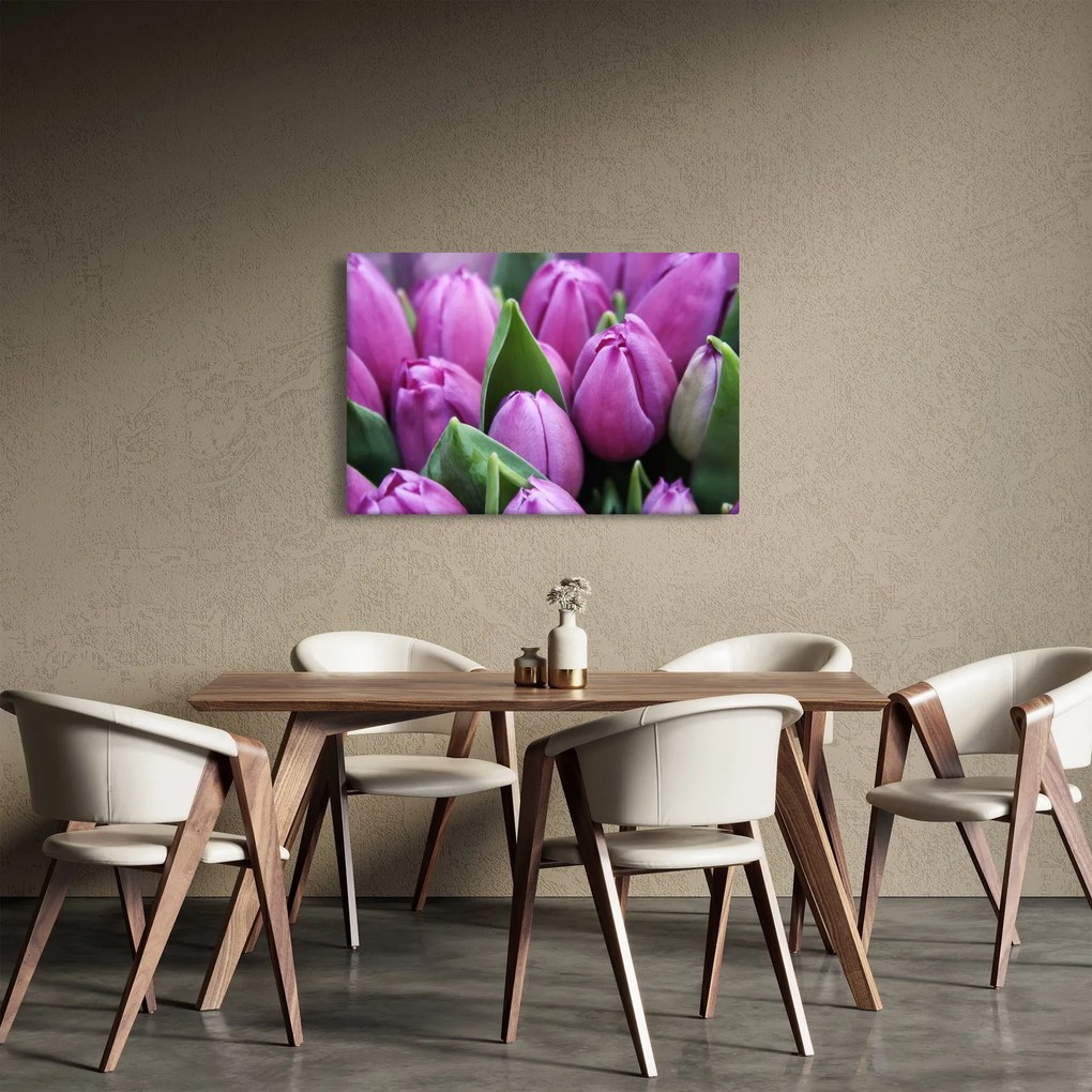 Tablou - florile lalelelor (90x60 cm)