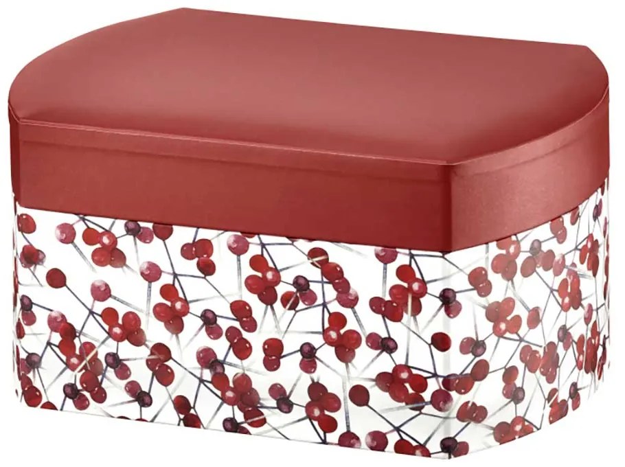 CUTIE DE BIJUTERII CU OGLINDA, 16,5X11X8, 5CM, HOLLY LOOK, ROSU