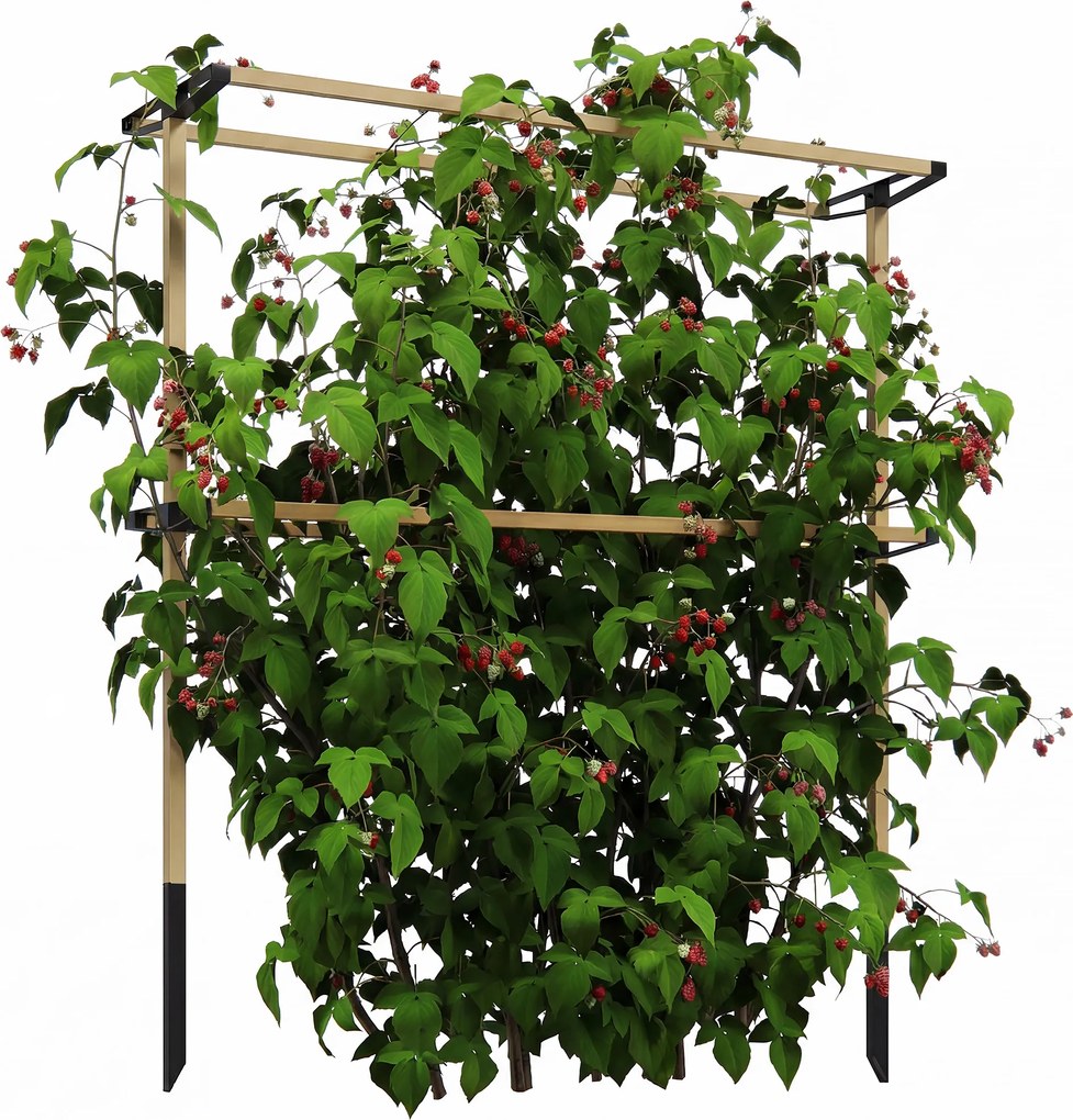 Outsunny Spalier metalic flexibil pentru fructe de pădure: zmeură, mure &amp; afine – spalier extensibil | Aosom Romania