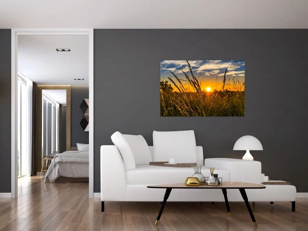 Tablou cu câmp în apus de soare (90x60 cm)
