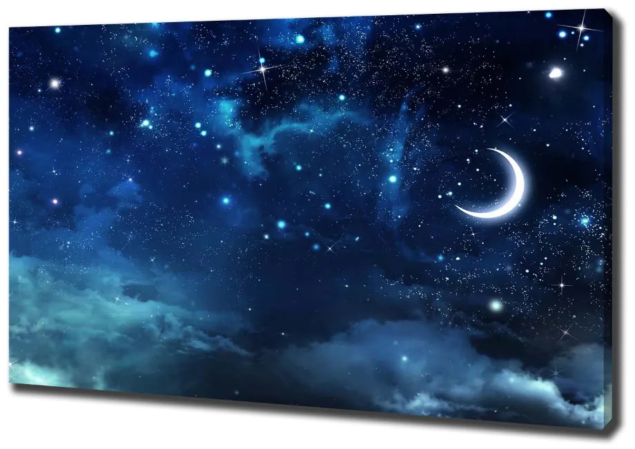 Tablou pe pânză canvas Cer înstelat
