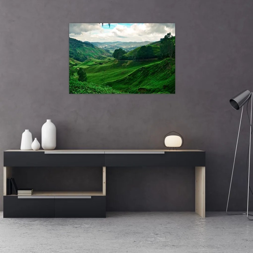 Tablou Plantații de ceai - Malaezia (90x60 cm)