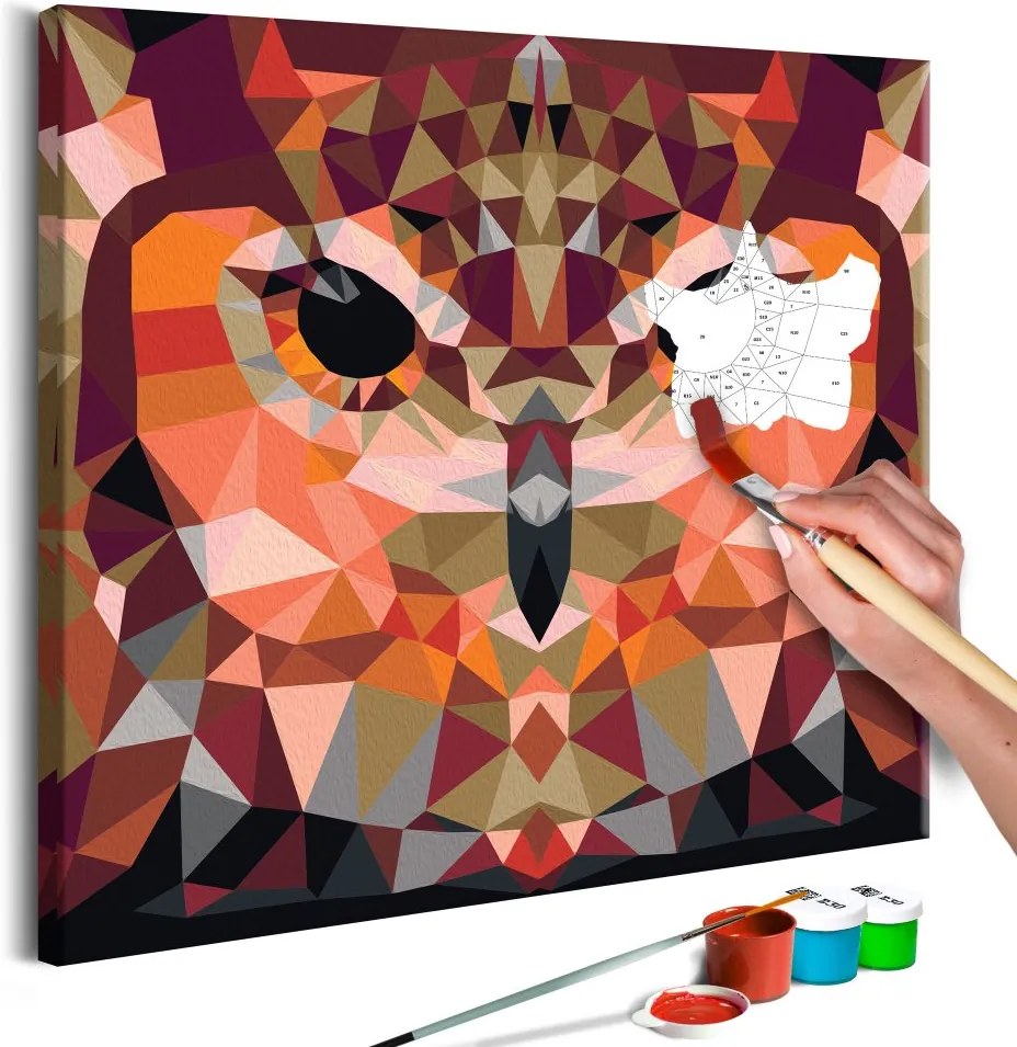 Bimago Pictura pe numere - Owl (Geometrical)