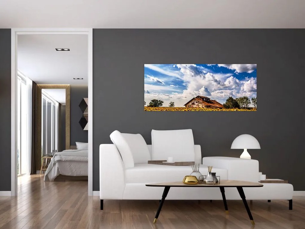 Tablou cu câmp de floarea soarelui (120x50 cm)