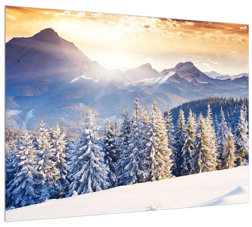 Tablou cu peisaj montan de pădure iarna (70x50 cm), în 40 de alte dimensiuni noi