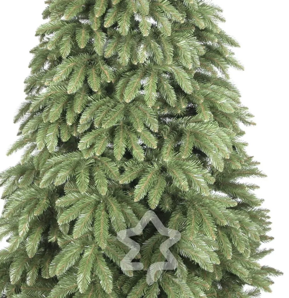 Molid Caucazian 2D 220 cm