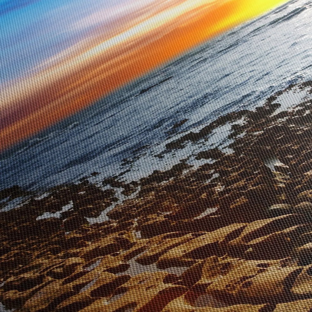 Tablou - Pescărușul zboară deasupra coastei (90x60 cm)