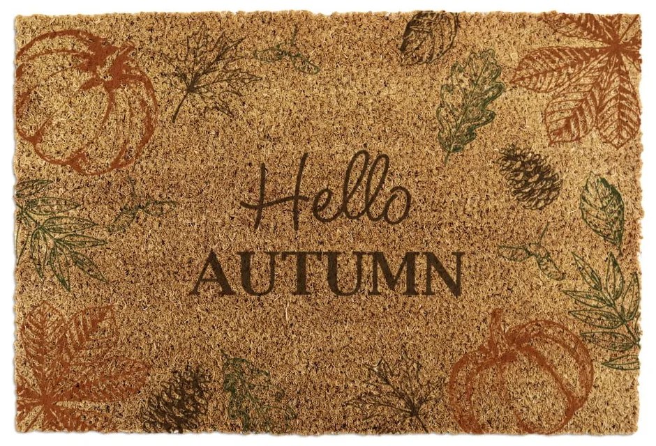 Covoraș de intrare din fibre de nucă de cocos 40x60 cm Hello Autumn – Artsy Doormats