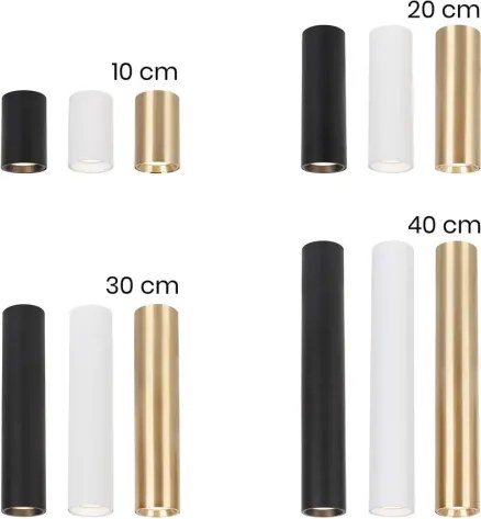 Spot GENESIS 1xGU10/8W/230V 30 cm alb