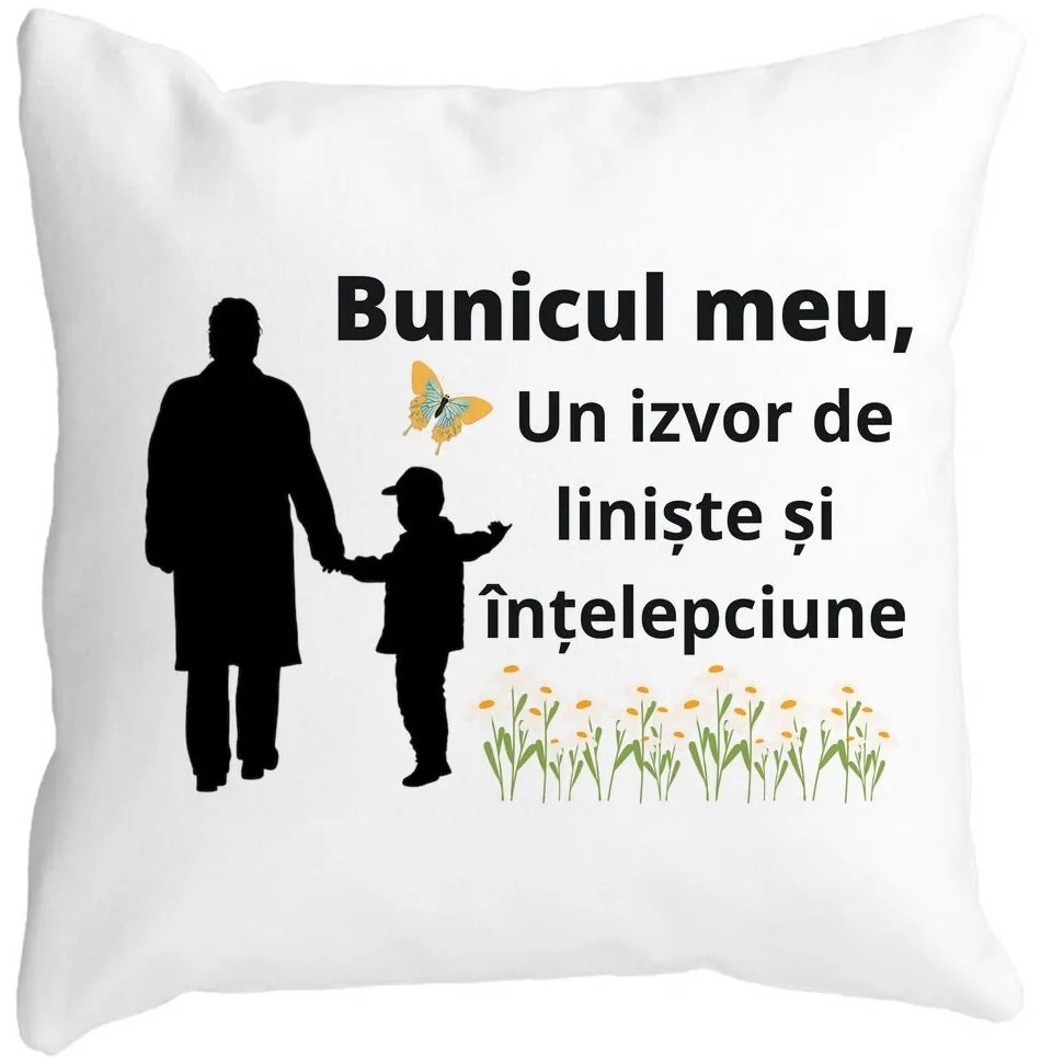 Perna Decorativa pentru Bunicul 6, 40x40 cm, Alba, Mata, Husa Detasabila, Burduf