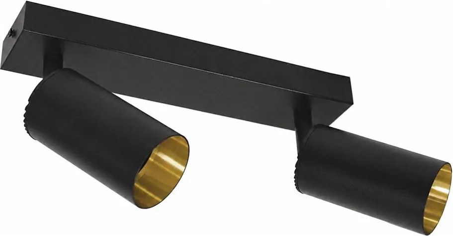 Corp de iluminat tip spot FILO 2xGU10/30W/230V negru/auriu