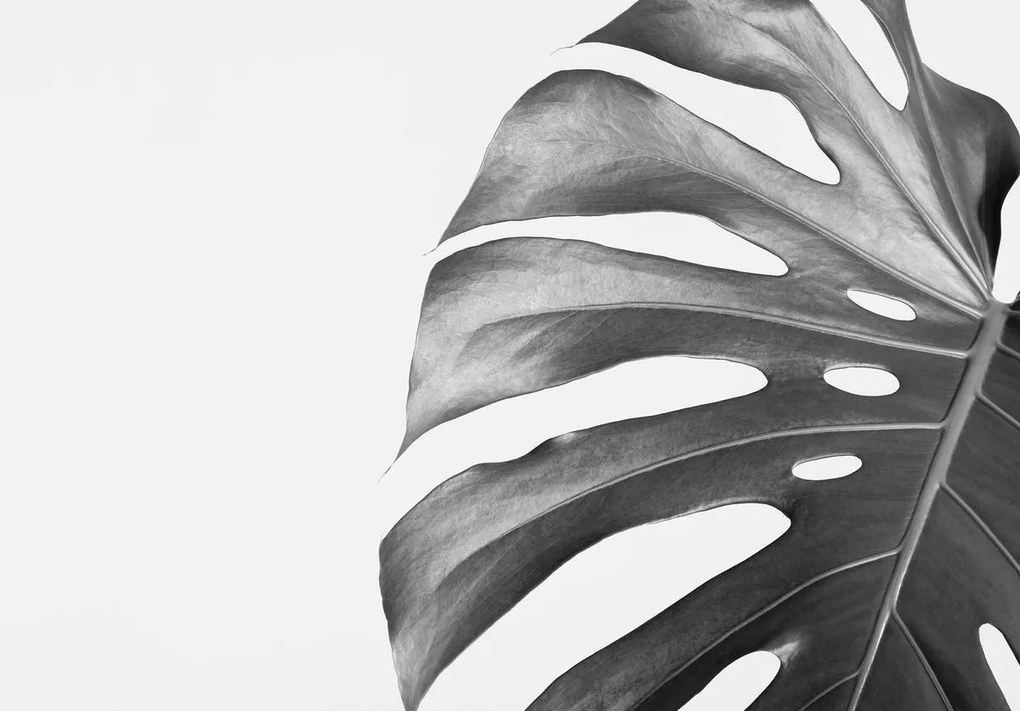 Fototapet - Frunze (152,5x104 cm)