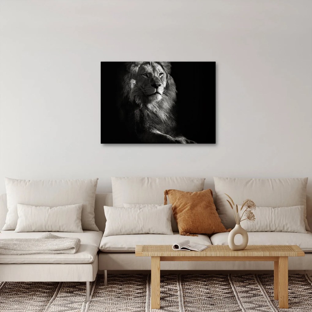 Tablou - Leu (70x50 cm)