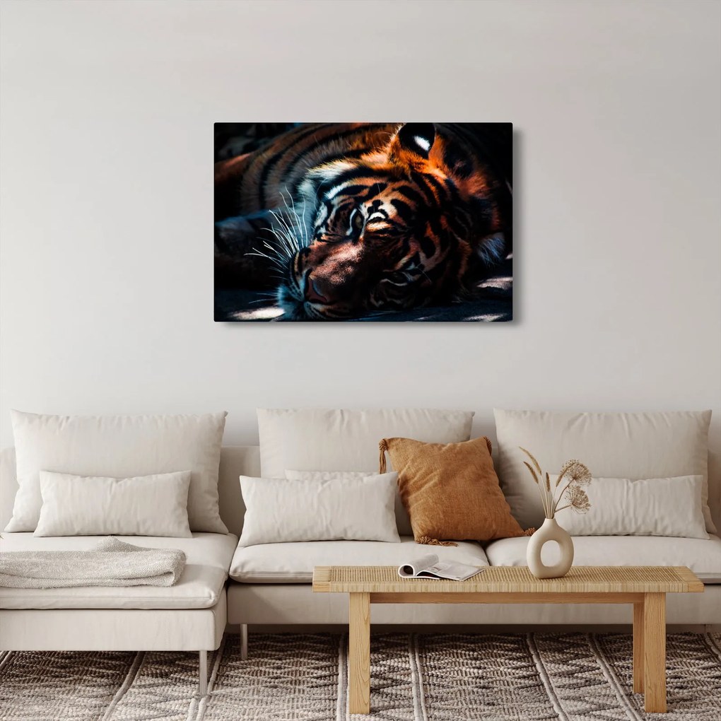 Tablou cu tigrul dormind (90x60 cm)