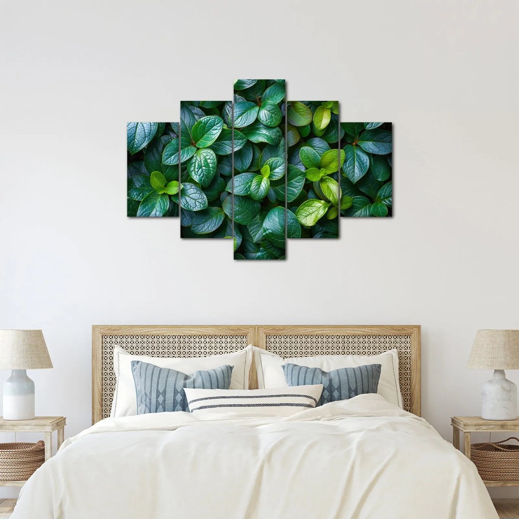 Tablou - Plante verzi (150x105 cm)