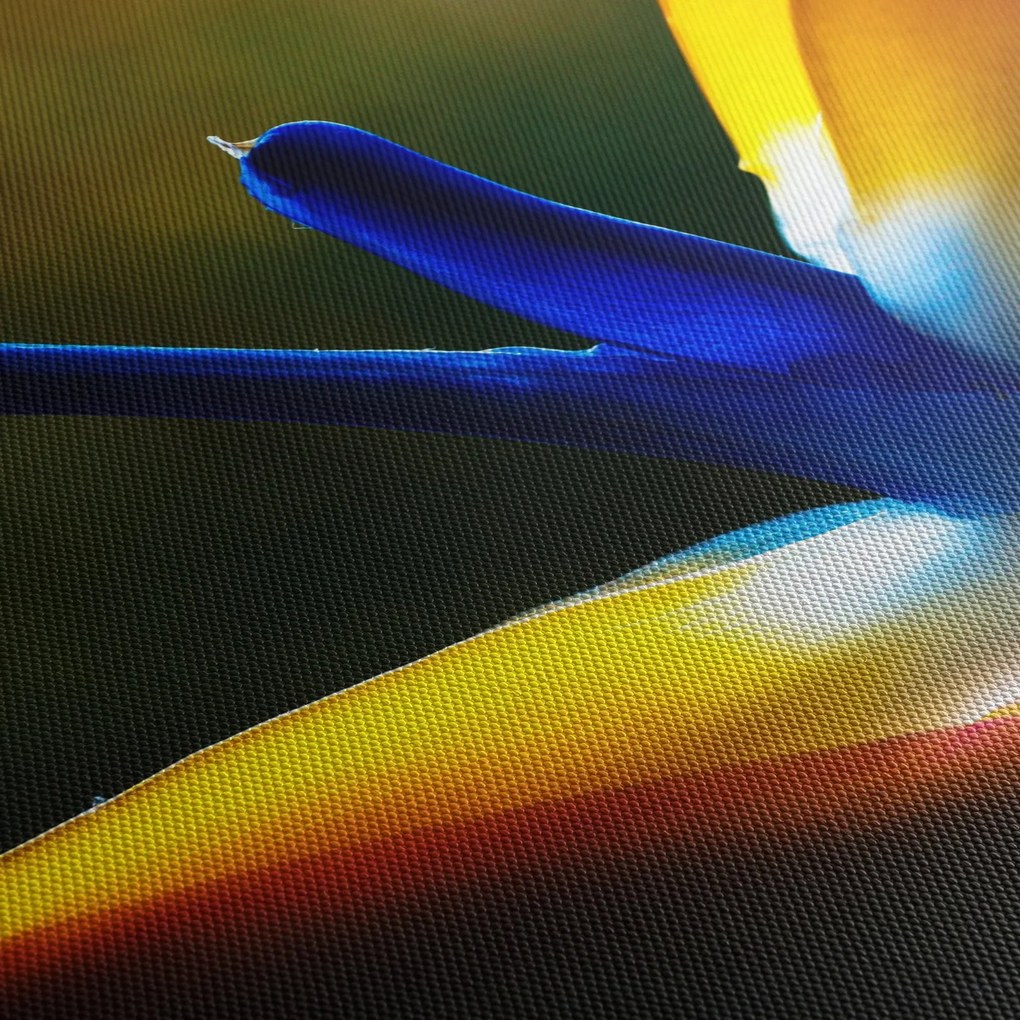 Tablou - Floare exotică (90x60 cm)