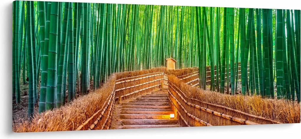 Tablou - Pădure de bambus japoneză (120x50 cm)