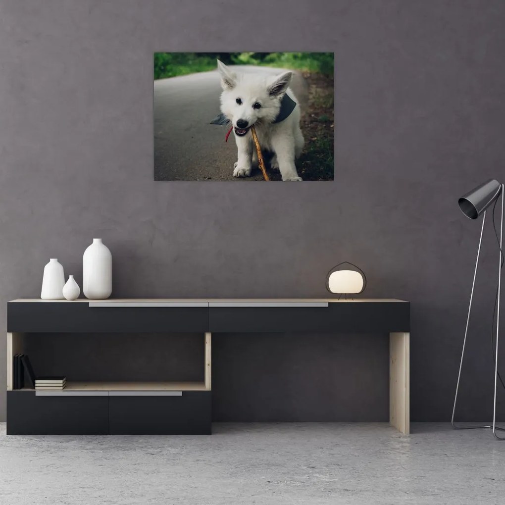 Tablou pe sticlă cu câinele alb (70x50 cm)