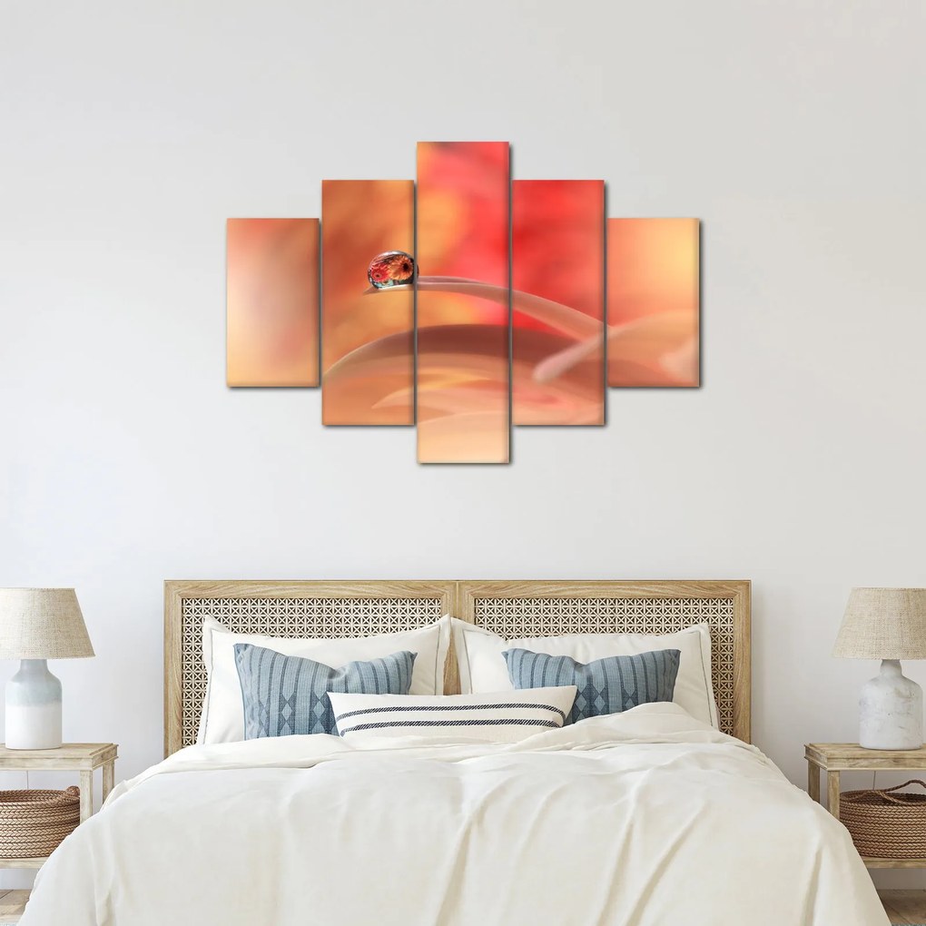 Tablou picăturii de rouă pe floare (150x105 cm)