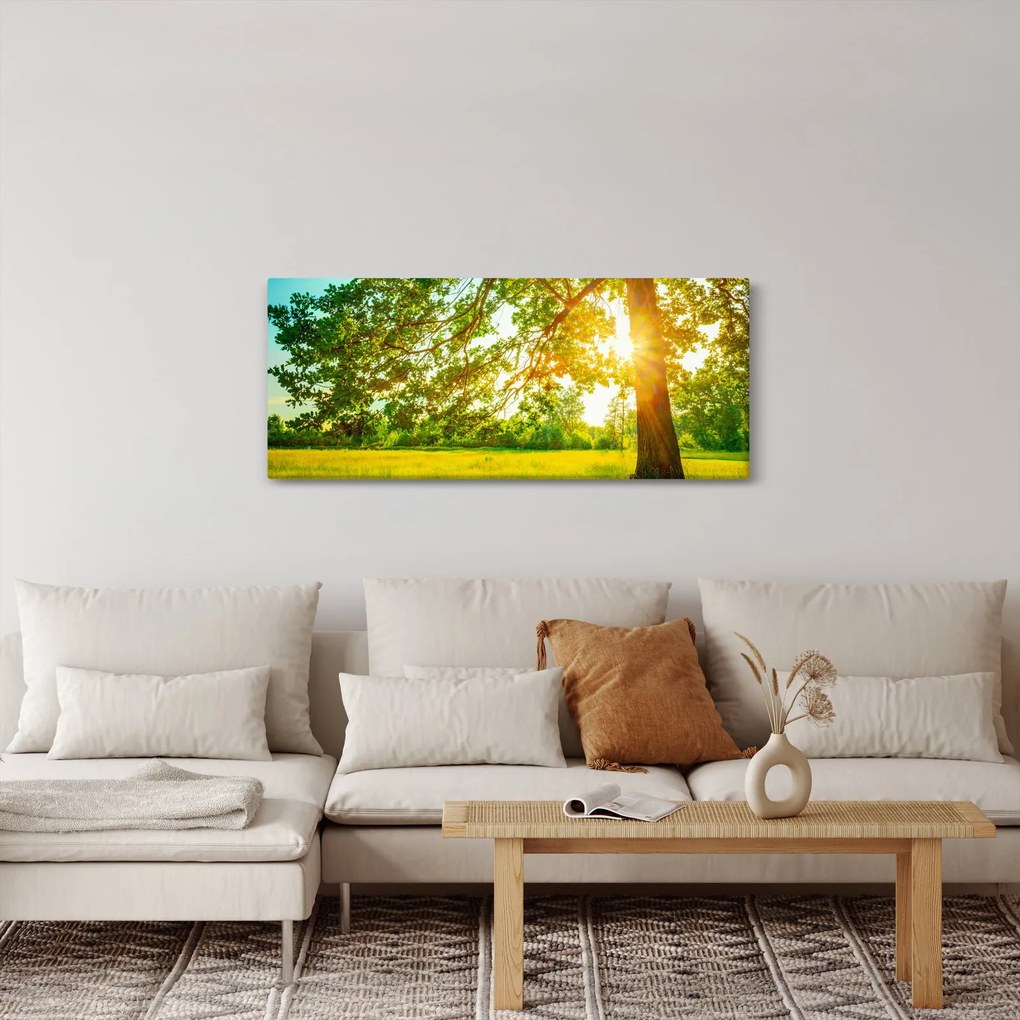 Tablou - Pădurea însorită (120x50 cm)