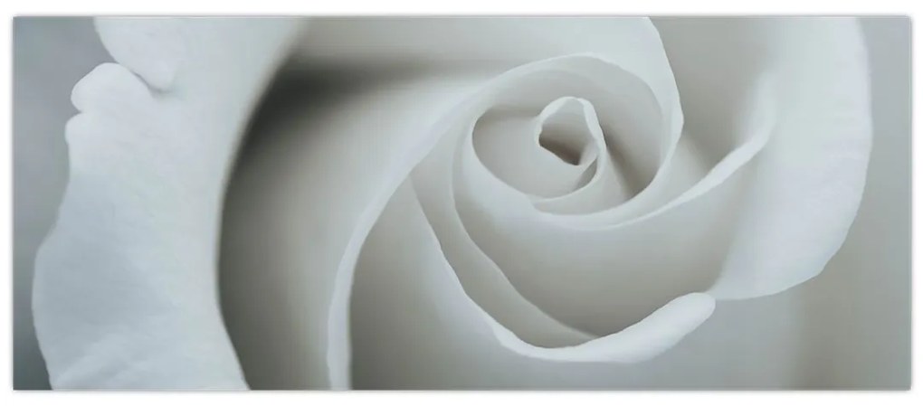 Tablou - Trandafirul alb (120x50 cm)