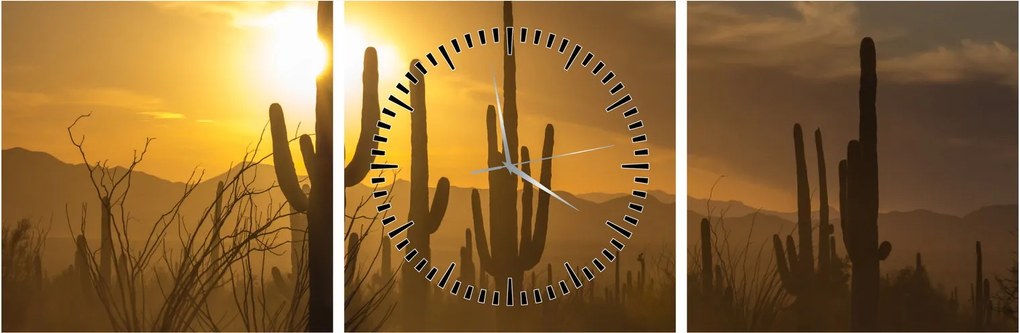 Tablou - Cactuși Saguaro (cu ceas) (90x30 cm)
