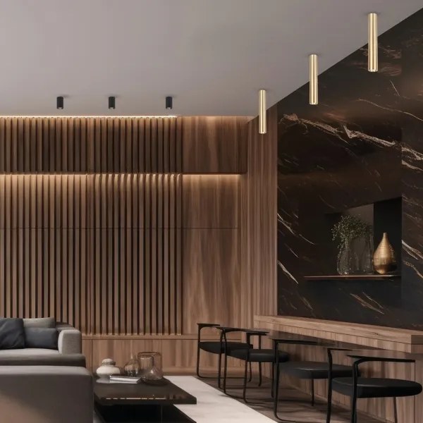 Spot GENESIS 1xGU10/8W/230V 40 cm auriu