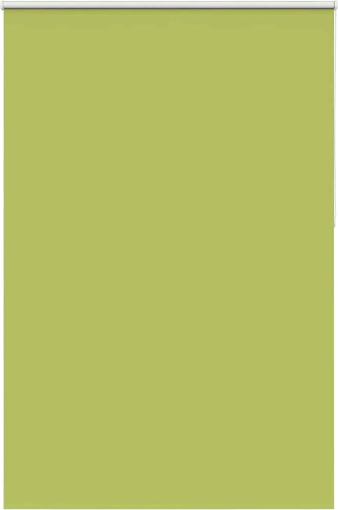 vidaXL Jaluzea cu role opace 160x210 cm lățime material 156,6 cm