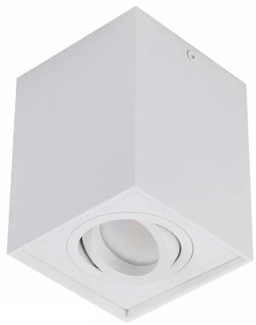 Spot directionabil aplicat tavan/plafon stil modern ELOY 1 White