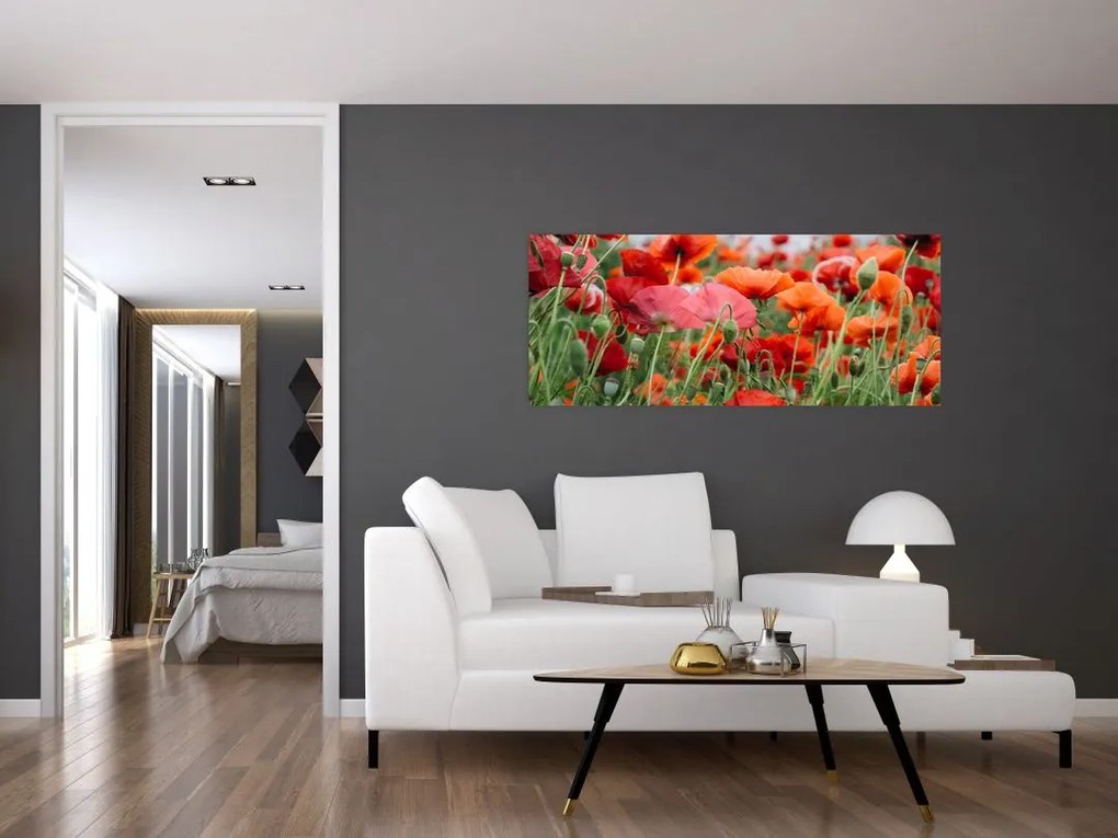 Tablou din câmp cu maci (120x50 cm)