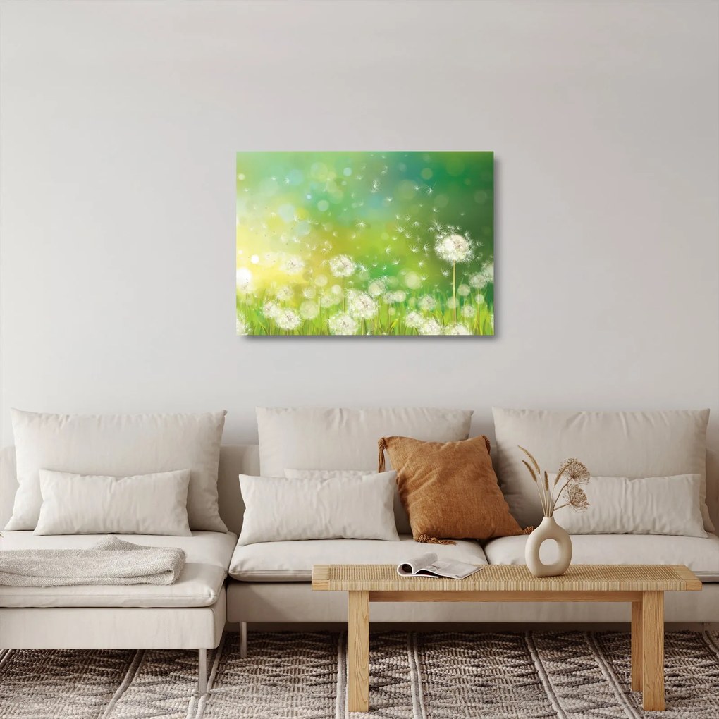 Tablou pe sticlă - Păpădie înflorită (70x50 cm)
