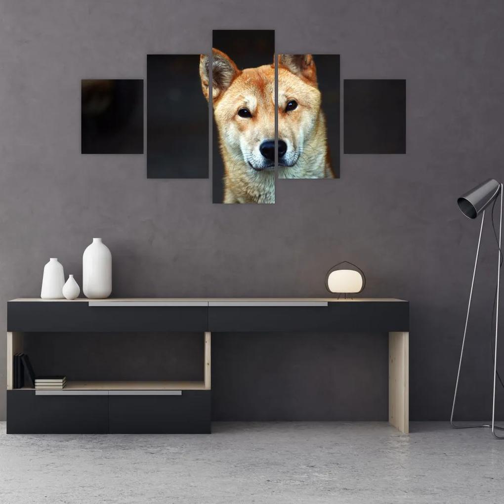 Tablou cu câine (125x70 cm), în 40 de alte dimensiuni noi