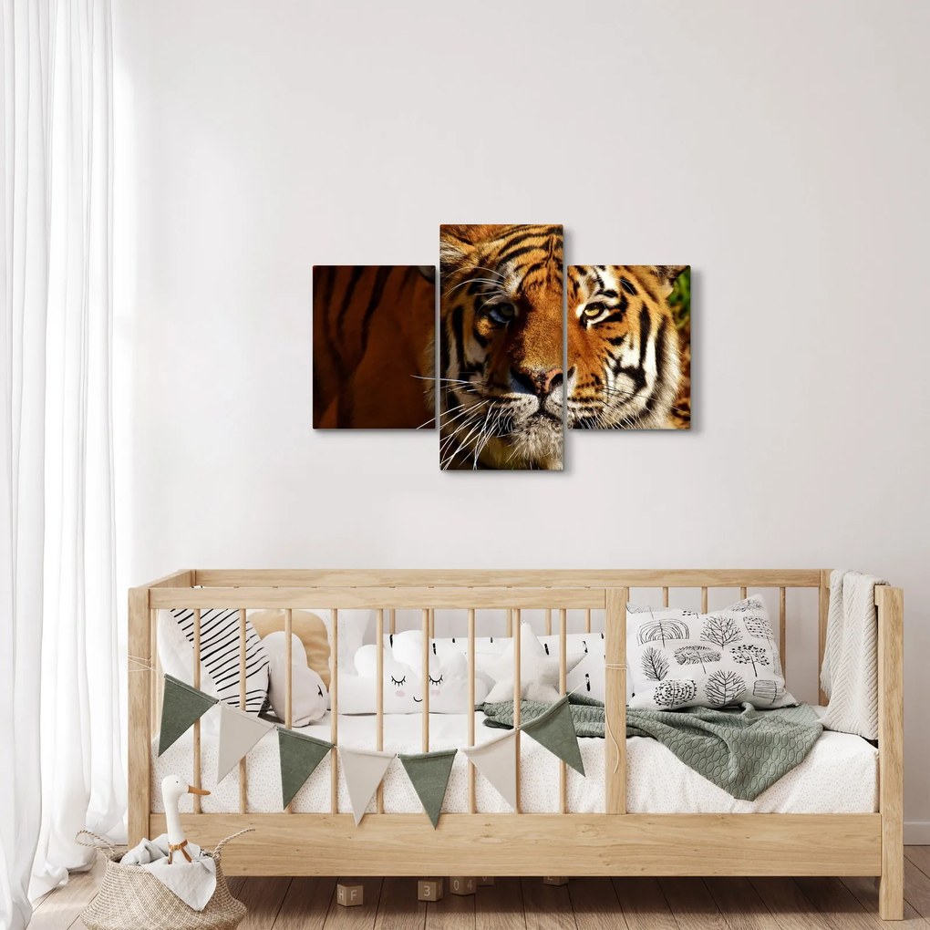 Tablou cu tigrul (90x60 cm)