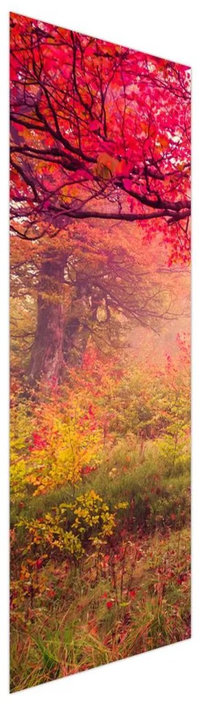 Fotojaluzele R012510R57150 (57x150 cm)