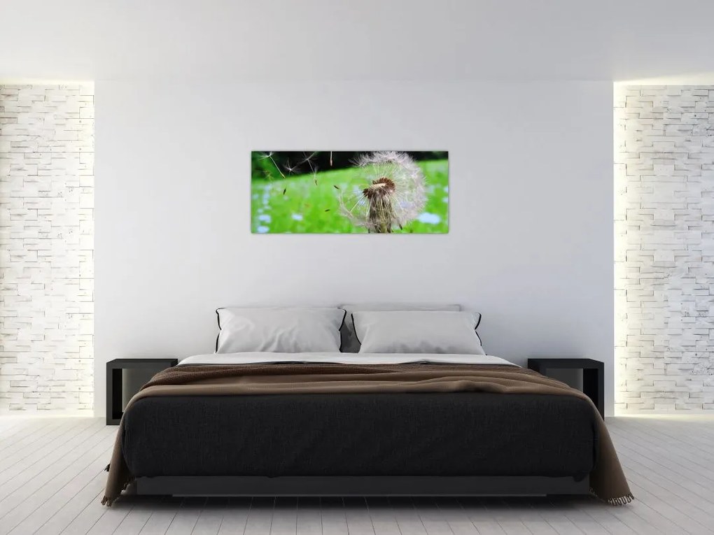Tablou cu păpădie (120x50 cm)