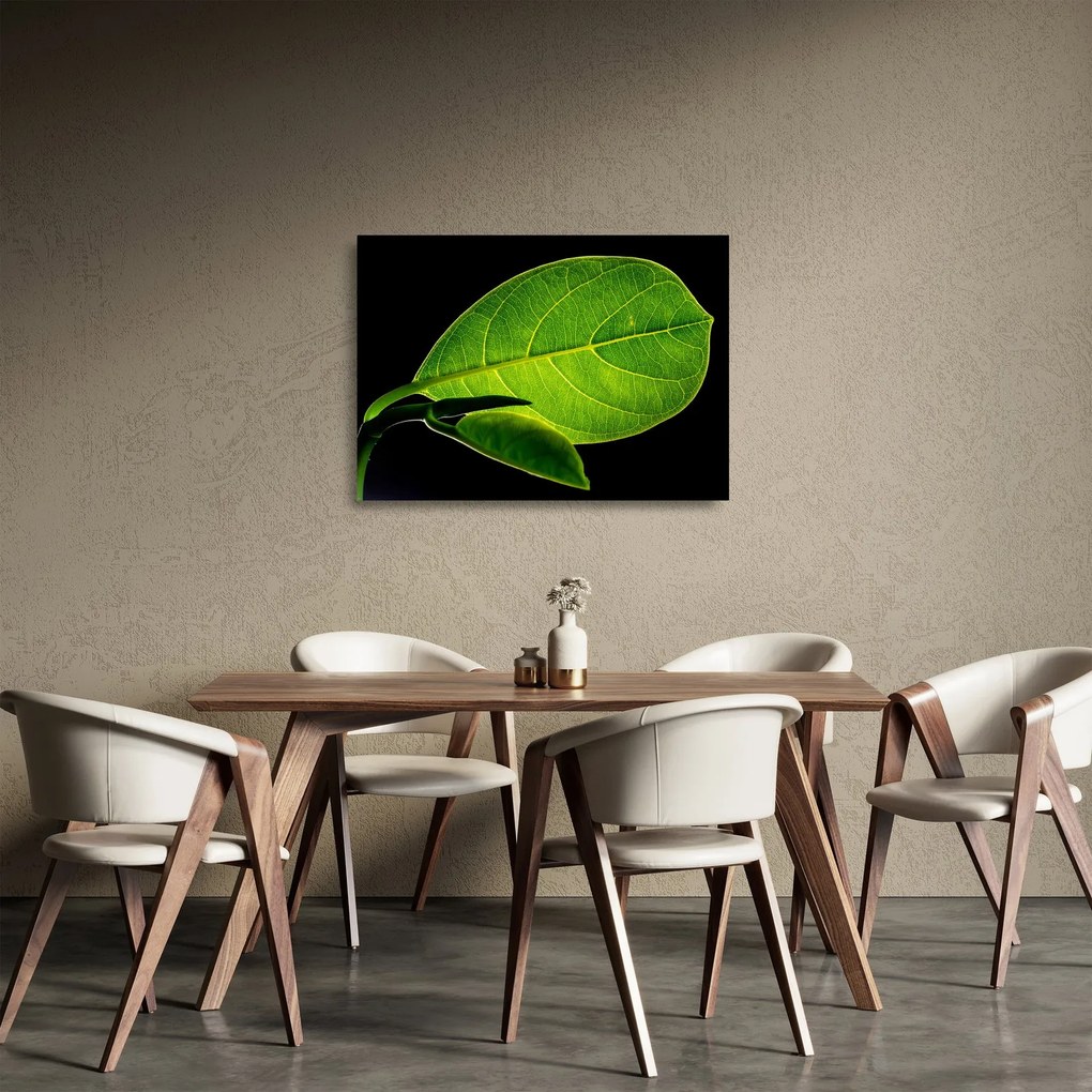 Tablou pe sticlă - frunză verde (70x50 cm)