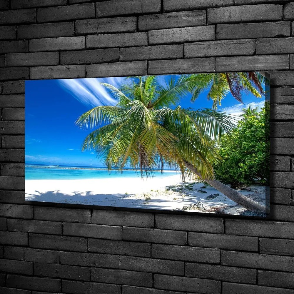 Tablou canvas Plaja tropicala