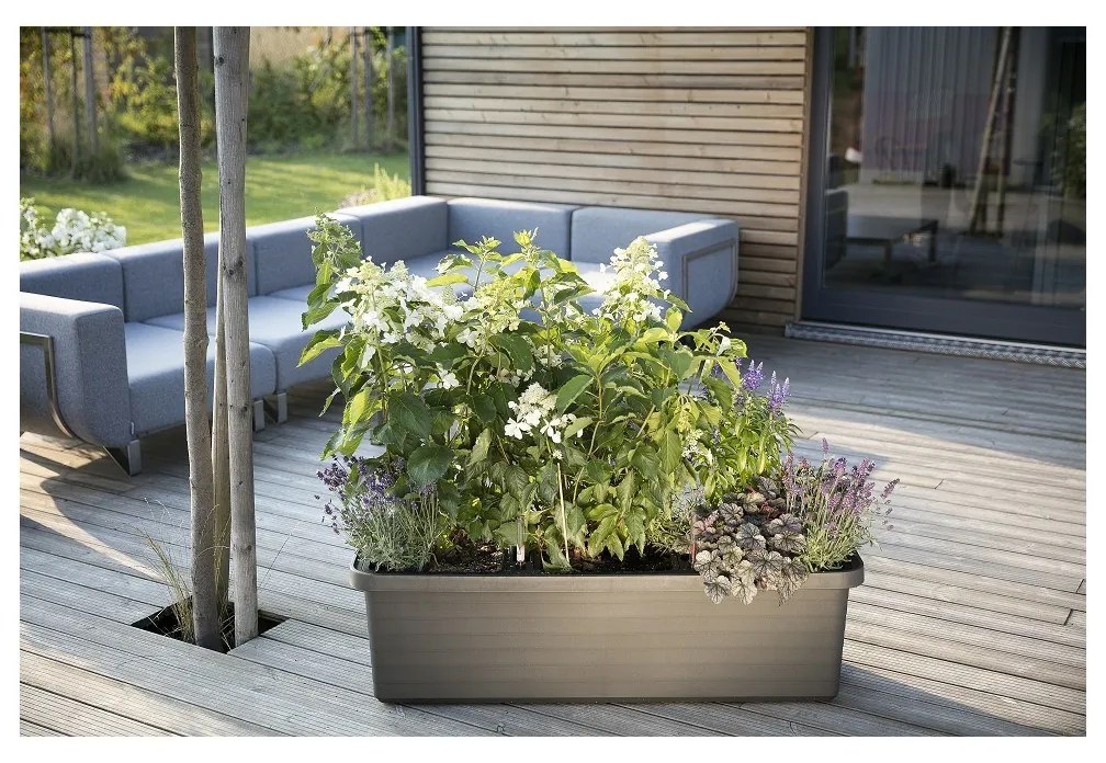 Jardinieră cu auto-irigare Plastia Berberis TRIO ,antracit