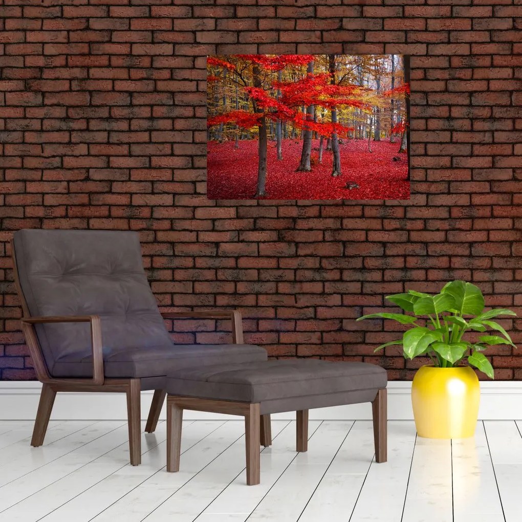 Tablou pe sticlă - Pădurea roșie (70x50 cm)