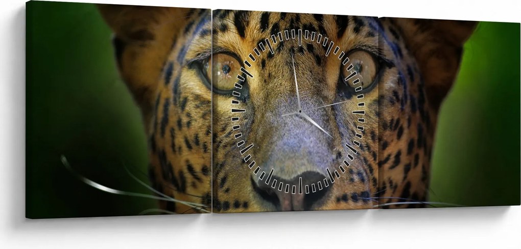 Tablou - Portretul leoparduslui, Sri Lanka (cu ceas) (90x30 cm)