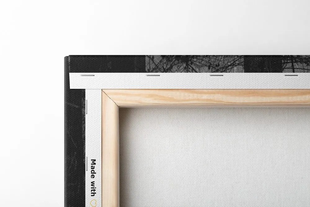Tablou lumina în pădure în design alb-negru