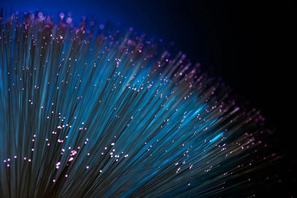Tapet autoadeziv fibre optice