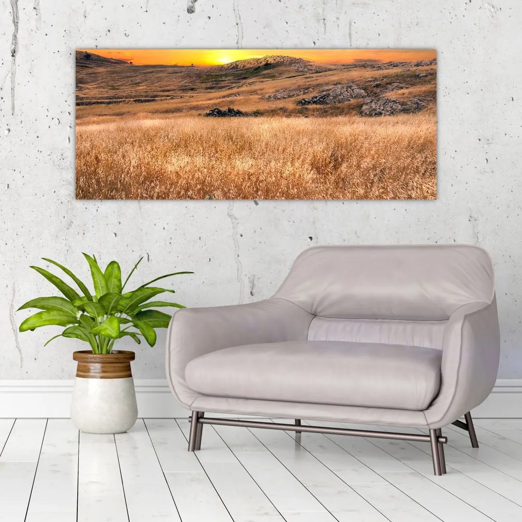 Tablou cu câmp (120x50 cm)