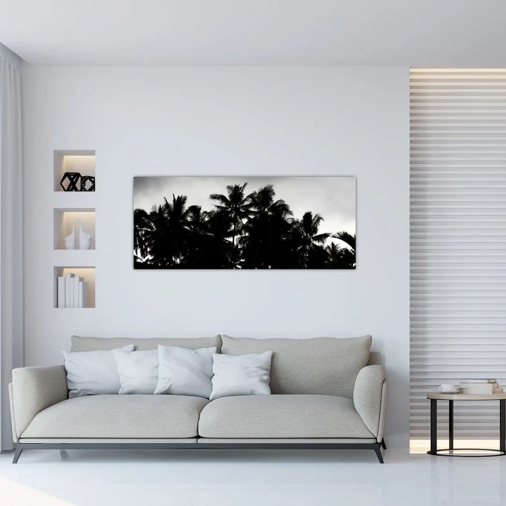 Tablou alb negru - palmieri (120x50 cm)