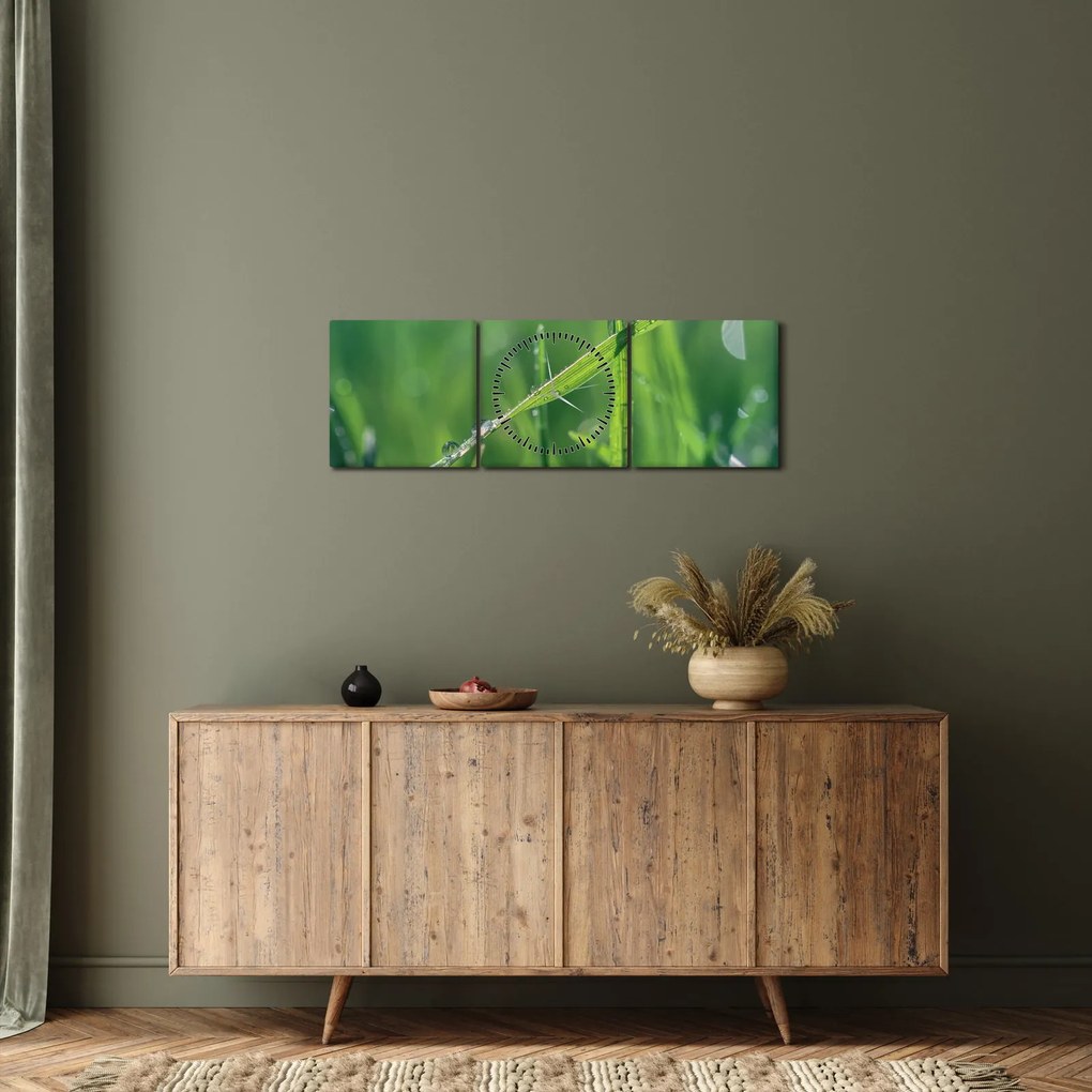 Tablou cu picături de rouă (cu ceas) (90x30 cm)