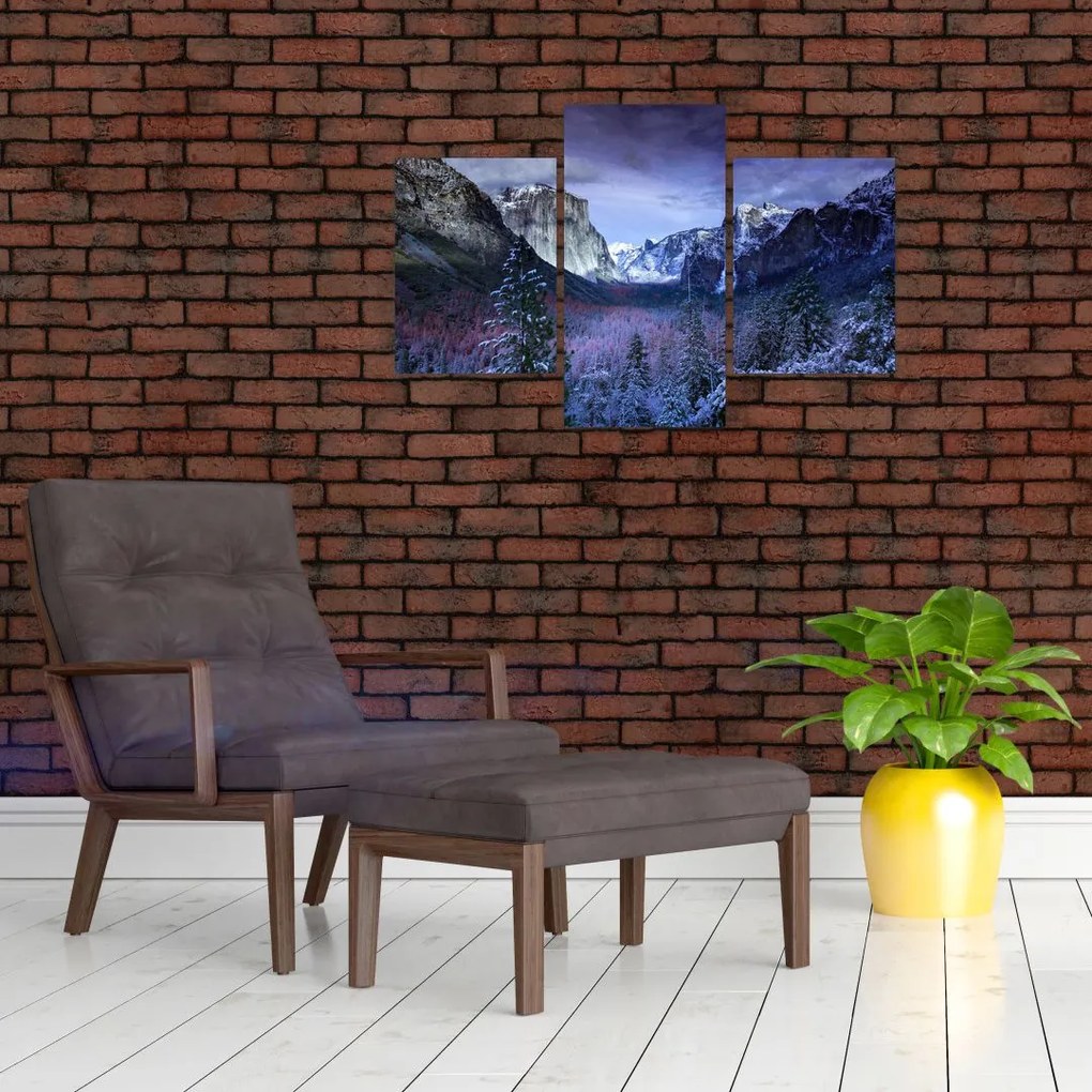 Tablou cu peisaj montan iarna (90x60 cm)