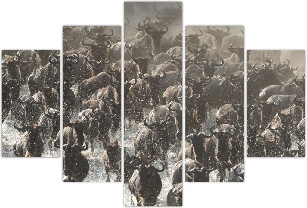 Tablou - Turmă de antilope sălbatice (150x105 cm)