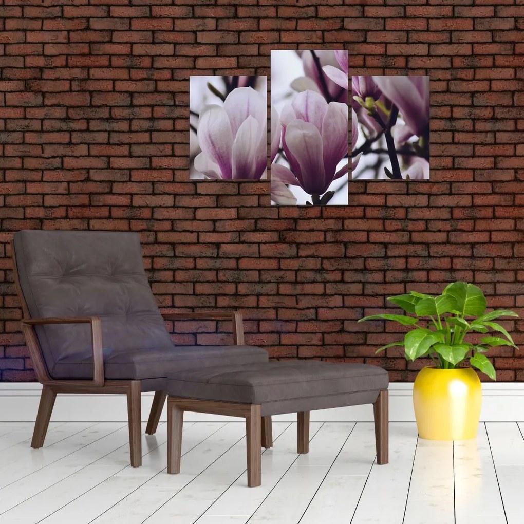 Tablou - Magnolie (90x60 cm)