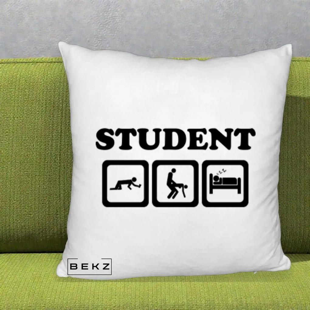 Perna Decorativa Student Life, 40x40 cm, Alb Pufos, Husa Detasabila, Perna Inclusa, BEKZ®