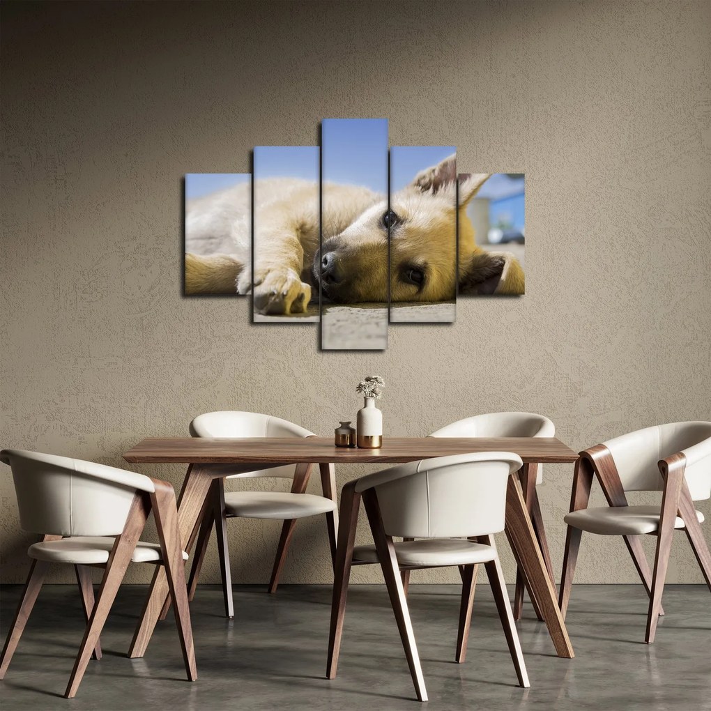 Tablou cu cățeluș dormind (150x105 cm)